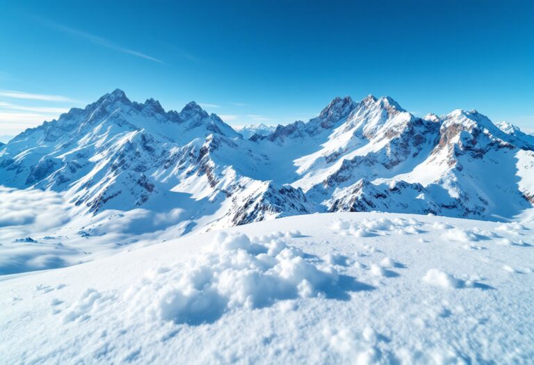 Paesaggio innevato a La Thuile con natura selvaggia