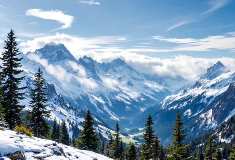 Panorama della Val di Fiemme con sport invernali